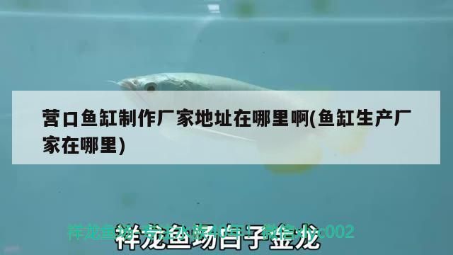 營口魚缸制作廠家地址在哪里啊(魚缸生產廠家在哪里) 觀賞魚百科 營口魚缸制作廠家地址在哪里啊(魚缸生產廠家在哪里) 營口魚缸制作廠家地址在哪里啊(魚缸生產廠家在哪里) 觀賞魚百科