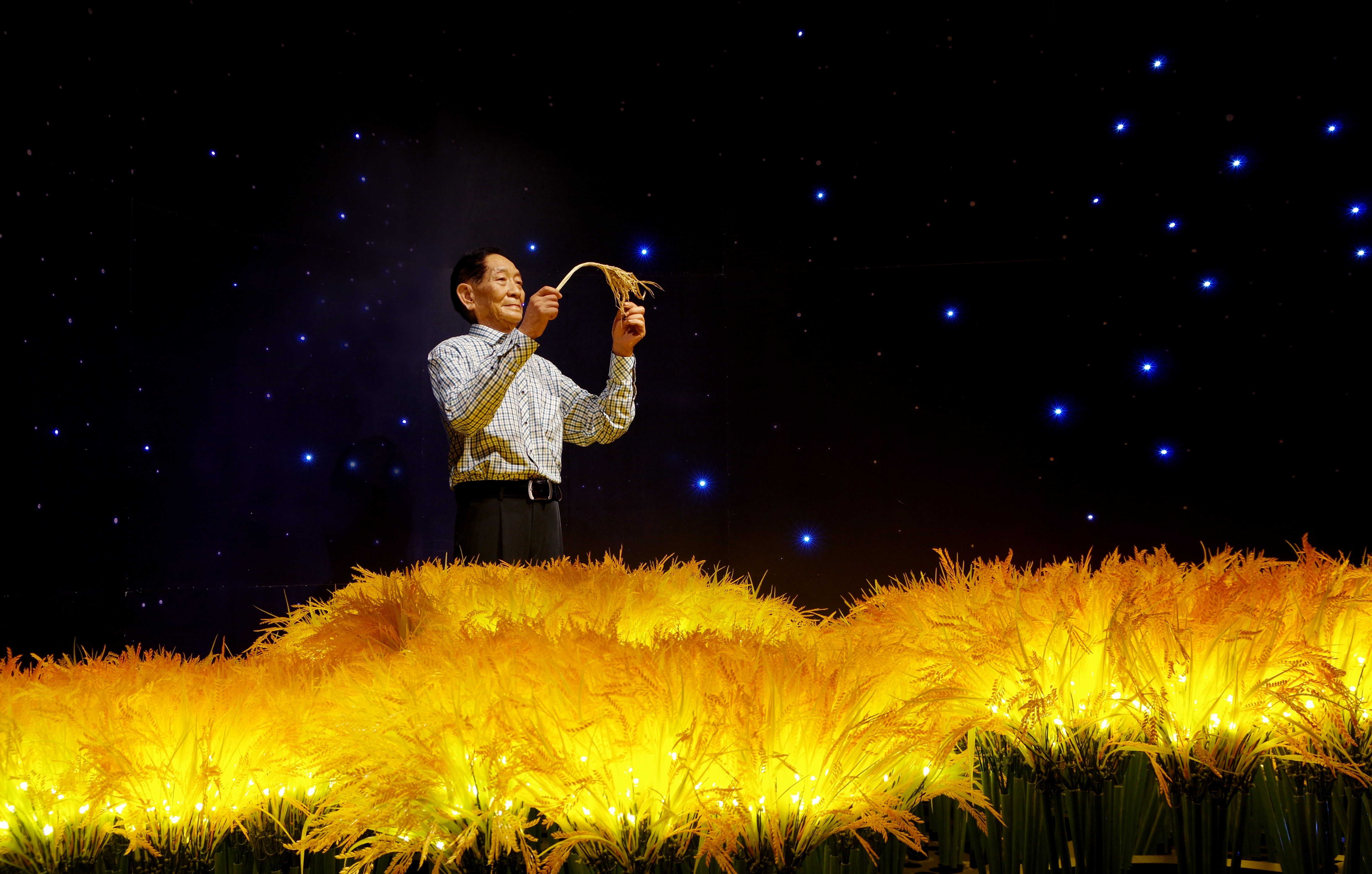 鼓浪嶼紅娘魚龍頭魚 鼓浪嶼紅娘魚龍頭魚 觀賞魚百科 第2張