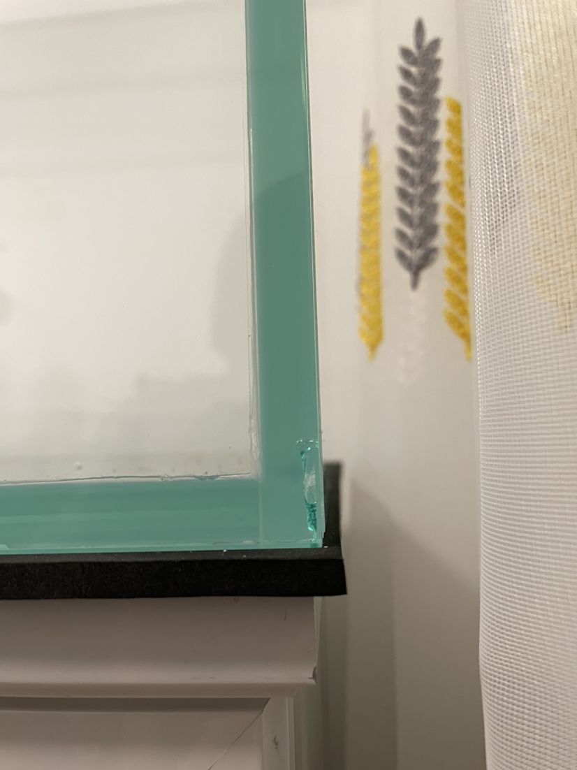 這個魚缸還能不能要？