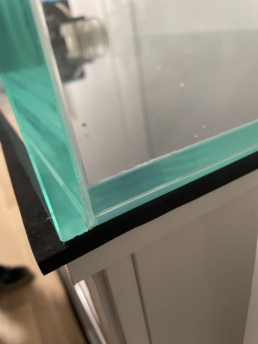 這個魚缸還能不能要？