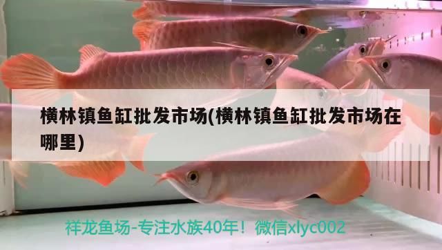 橫林鎮(zhèn)魚缸批發(fā)市場(橫林鎮(zhèn)魚缸批發(fā)市場在哪里)
