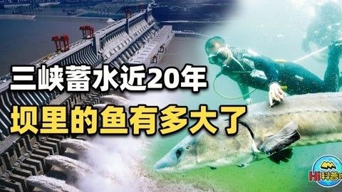 三峽生態魚簡介