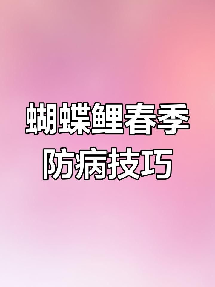 蝴蝶鯉百科疾病