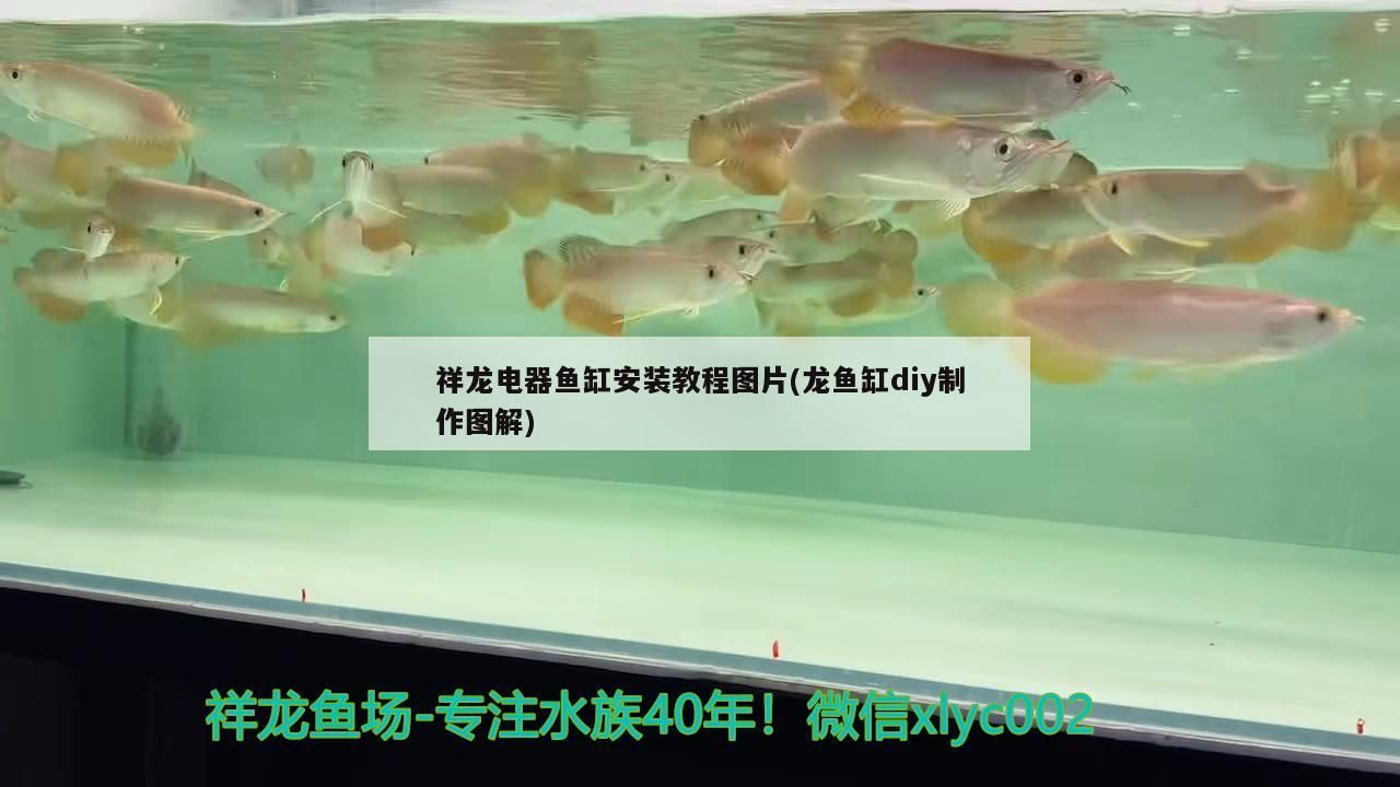 為什么眾神最近無(wú)法上傳圖片？