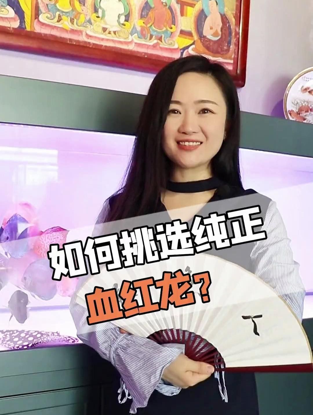 白河紅龍魚 白河紅龍魚 觀賞魚百科 第8張