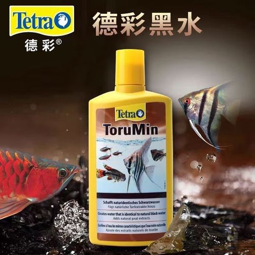 德國龍魚活力黑水 德國龍魚活力黑水 觀賞魚百科 第6張