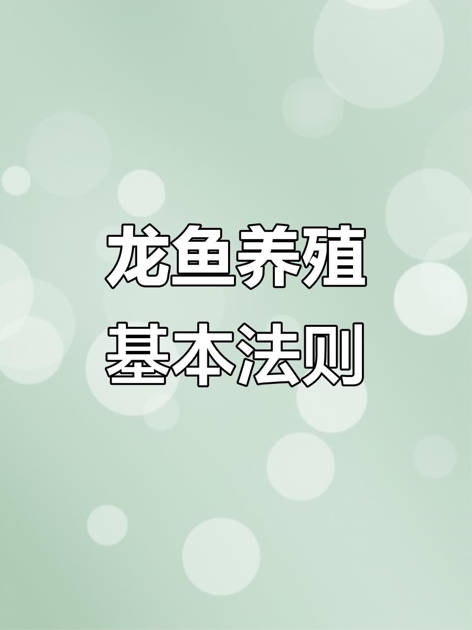 正陽龍魚