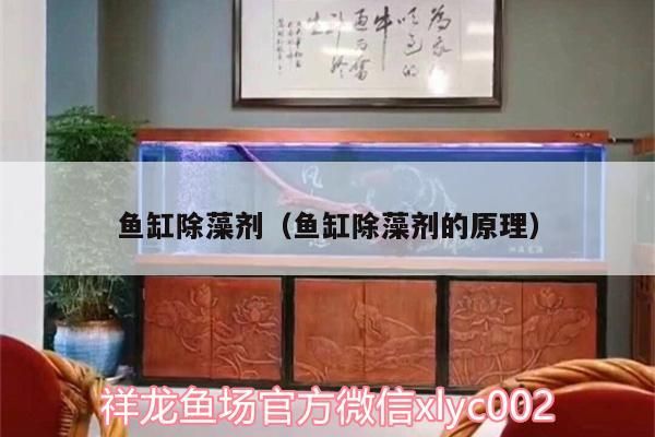 魚缸除藻劑（魚缸除藻劑的原理）