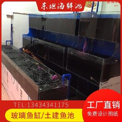 龍魚(yú)爬缸多久能恢復(fù)正常水質(zhì)（龍魚(yú)爬缸多久能恢復(fù)正常水質(zhì)啊） 龍魚(yú)爬缸多久能恢復(fù)正常水質(zhì)（龍魚(yú)爬缸多久能恢復(fù)正常水質(zhì)啊） 觀賞魚(yú)百科