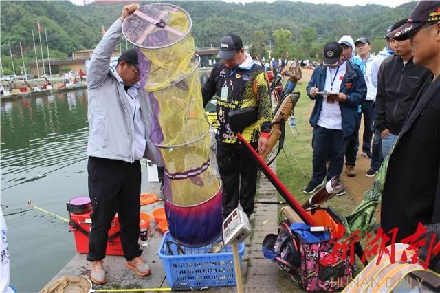 湘潭魚池建設 湘潭魚池建設 觀賞魚百科