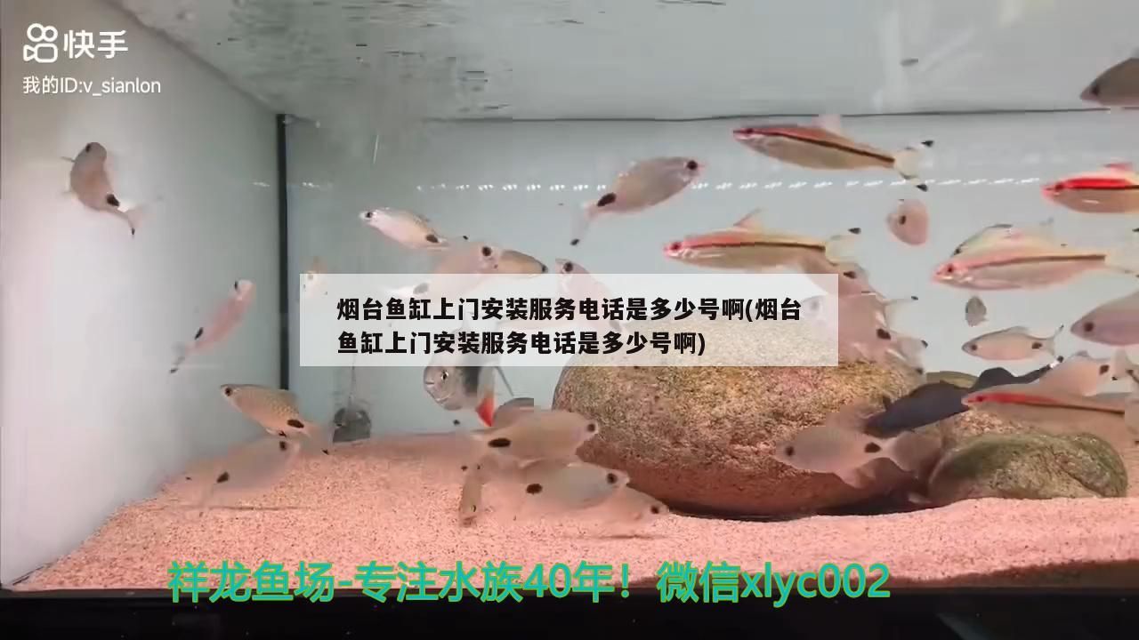 煙臺魚缸上門安裝服務電話是多少號啊(煙臺魚缸上門安裝服務電話是多少號啊) 煙臺魚缸上門安裝服務電話是多少號啊(煙臺魚缸上門安裝服務電話是多少號啊) 觀賞魚百科