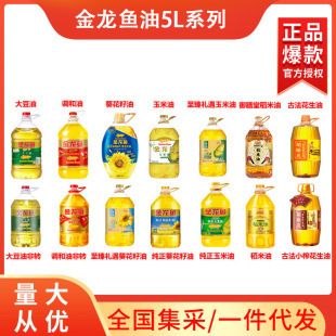 龍魚為什么那么值錢呢（龍魚為什么那么值錢呢圖片）