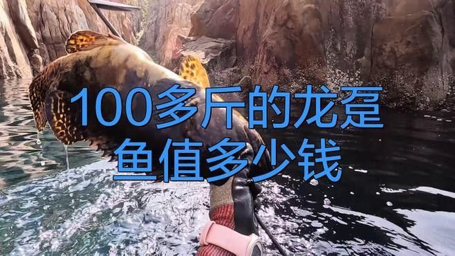 龍蠆魚多少錢一斤