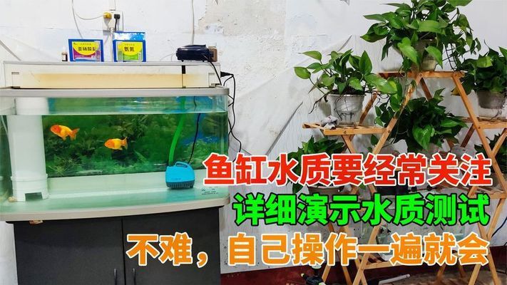 保定哪有定做魚缸的地方（保定哪有定做魚缸的地方啊）