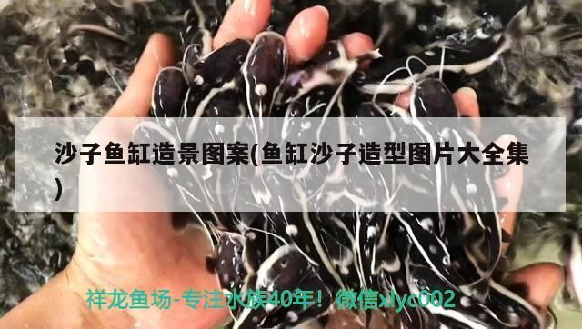 沙子魚缸造景圖案(魚缸沙子造型圖片大全集) 沙子魚缸造景圖案(魚缸沙子造型圖片大全集) 觀賞魚百科