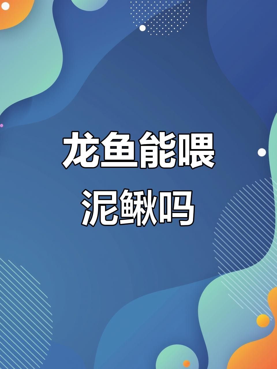 龍魚吃活泥鰍好不好吃 龍魚吃活泥鰍好不好吃 觀賞魚百科 第1張