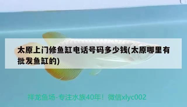太原上門修魚缸電話號(hào)碼多少錢(太原哪里有批發(fā)魚缸的) 太原上門修魚缸電話號(hào)碼多少錢(太原哪里有批發(fā)魚缸的) 觀賞魚百科