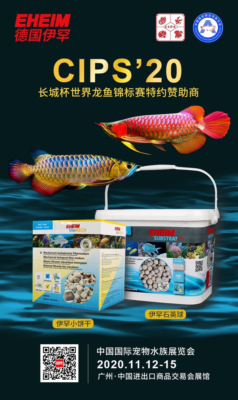 阿里水族館2022長城杯世界龍魚錦標賽簡訊 阿里水族館2022長城杯世界龍魚錦標賽簡訊 觀賞魚百科 第2張