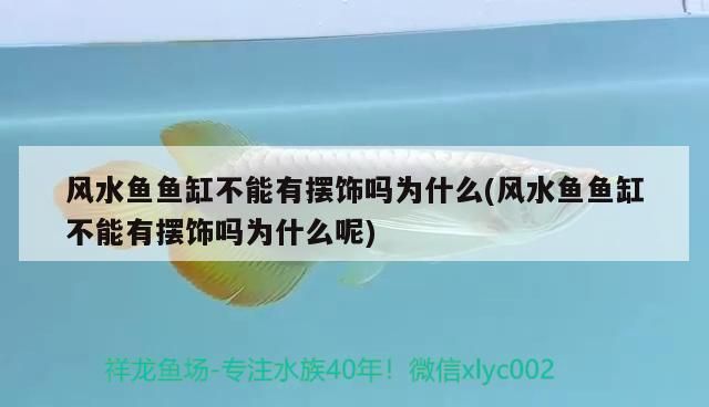 風水魚魚缸不能有擺飾嗎為什么(風水魚魚缸不能有擺飾嗎為什么呢)