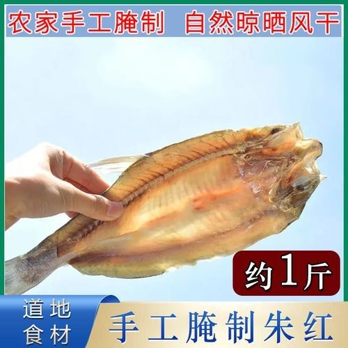樅陽金龍魚 樅陽金龍魚 觀賞魚百科 第1張
