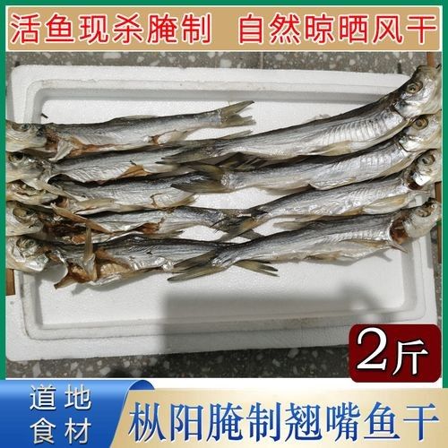 樅陽金龍魚 樅陽金龍魚 觀賞魚百科 第2張