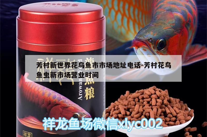 芳村新世界花鳥魚市市場地址電話:芳村花鳥魚蟲新市場營業時間 芳村新世界花鳥魚市市場地址電話:芳村花鳥魚蟲新市場營業時間 觀賞魚百科