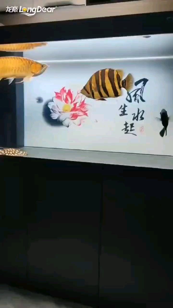 轉(zhuǎn)發(fā)964