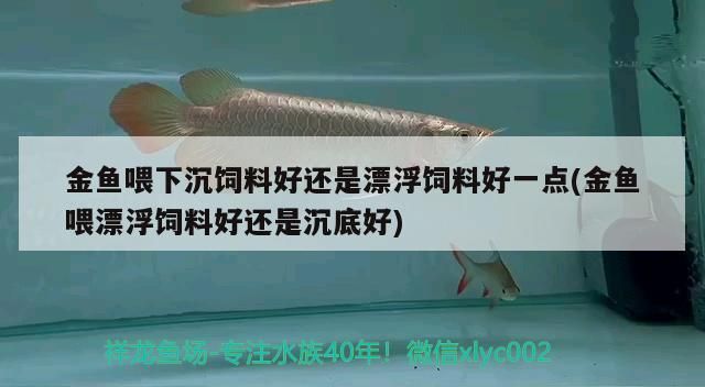 金魚喂下沉飼料好還是漂浮飼料好一點(金魚喂漂浮飼料好還是沉底好)