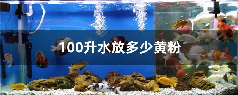 什么雷龍可以跟金龍魚混養呢（什么雷龍可以跟金龍魚混養呢） 什么雷龍可以跟金龍魚混養呢（什么雷龍可以跟金龍魚混養呢） 觀賞魚百科
