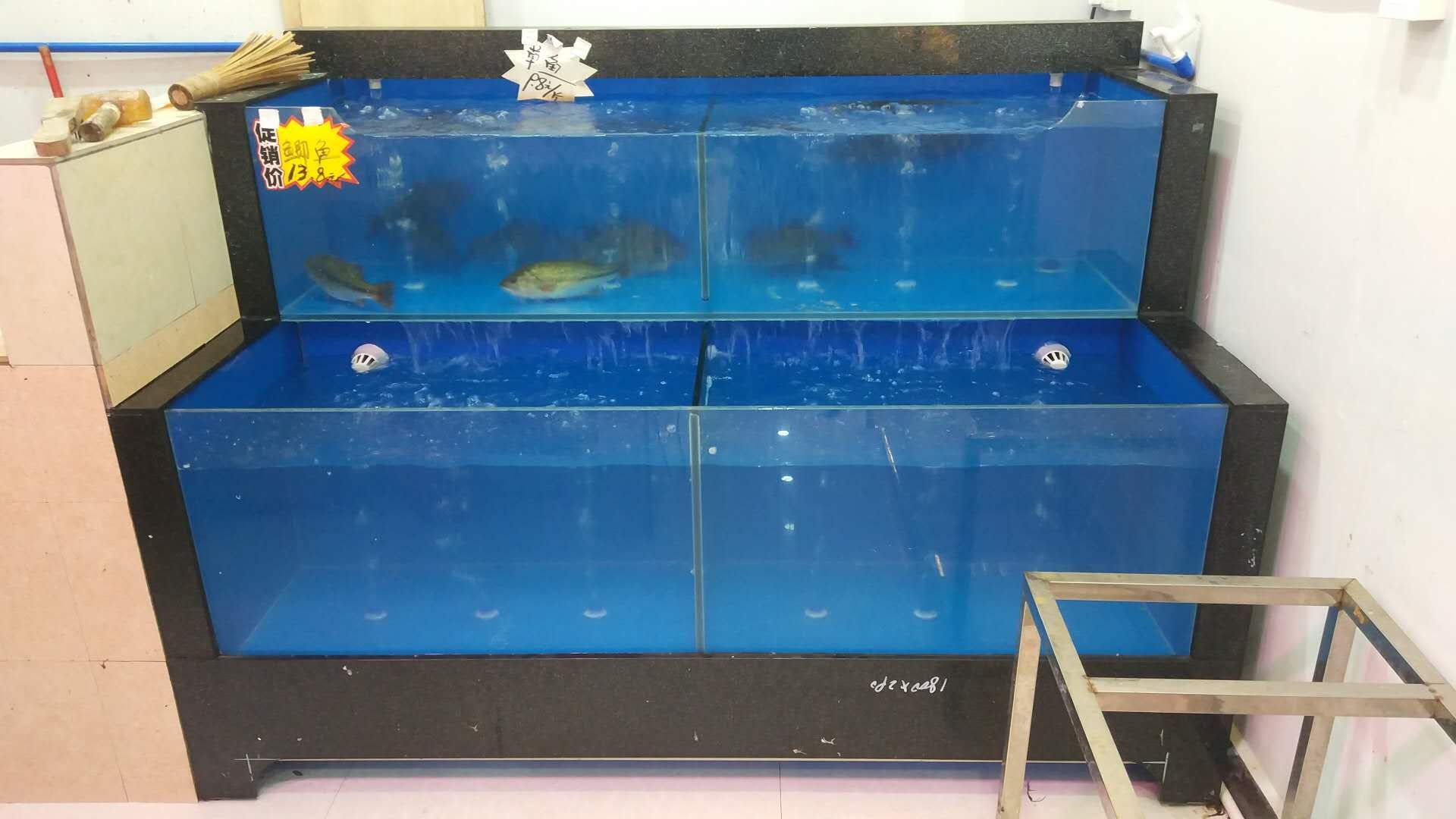 廣州買魚缸去哪里買好一點的：廣州水族用品市場分析廣州水族用品市場分析廣州特色水族館