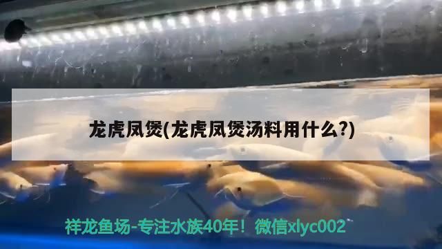 龍虎鳳煲(龍虎鳳煲湯料用什么？)