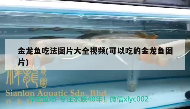 濮陽水族批發市場在哪里啊電話多少（濮陽水產批發市場在哪里）