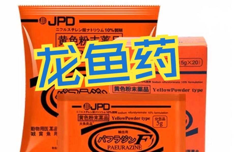 青川龍魚為何盡量少吃