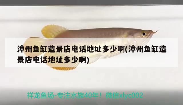魚缸過濾器選購指南:自制魚缸過濾器魚缸上置過濾器對于養魚愛好者的必備知識 漳州魚缸造景店電話地址多少啊(漳州魚缸造景店電話地址多少啊) 觀賞魚百科 漳州魚缸造景店電話地址多少啊(漳州魚缸造景店電話地址多少啊) 漳州魚缸造景店電話地址多少啊(漳州魚缸造景店電話地址多少啊) 觀賞魚百科