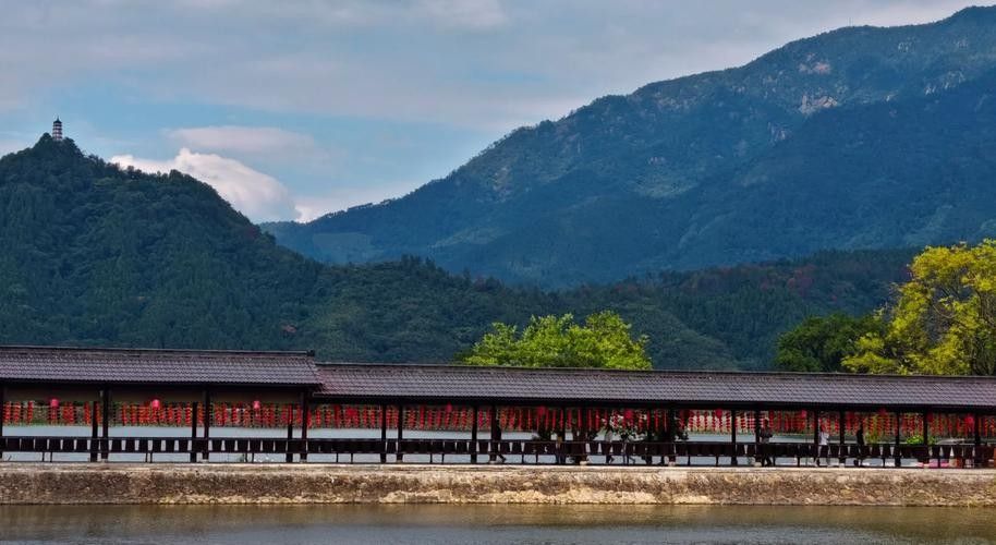 建德漁村 建德漁村 觀賞魚百科 第6張
