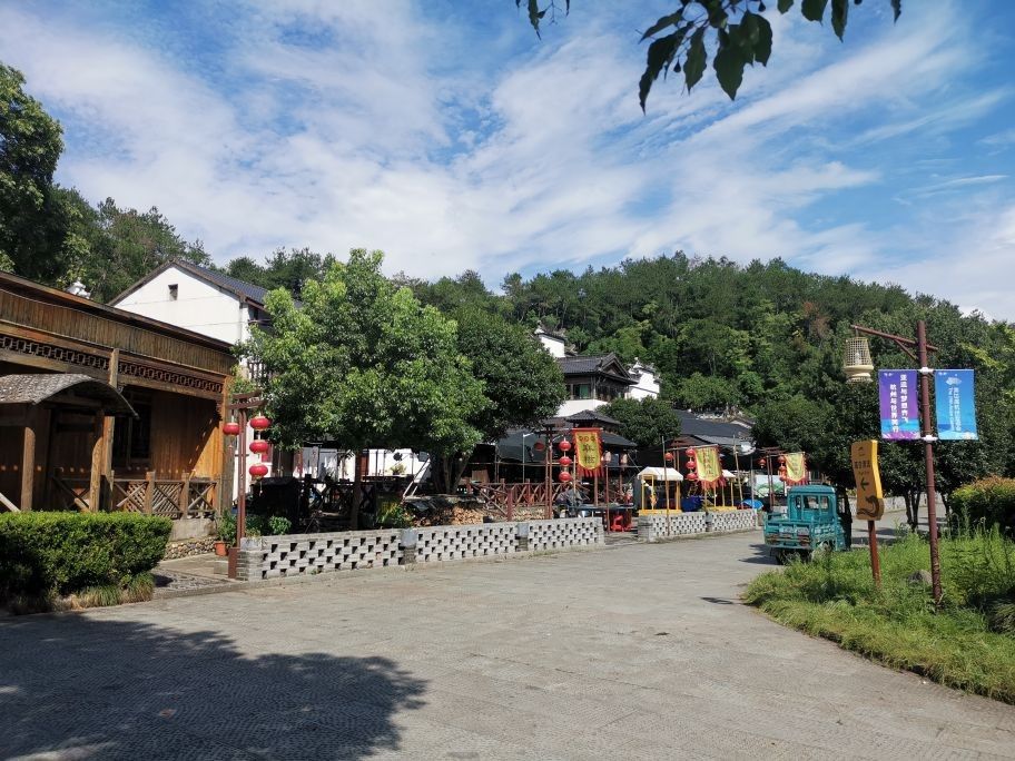 建德漁村 建德漁村 觀賞魚百科 第8張