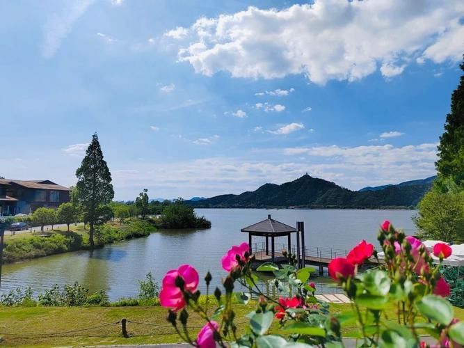 建德漁村 建德漁村 觀賞魚百科 第7張