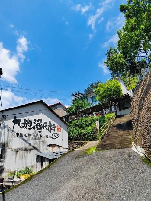 建德漁村 建德漁村 觀賞魚百科 第5張