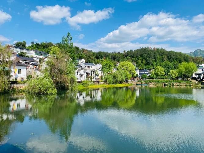 建德漁村 建德漁村 觀賞魚百科 第2張