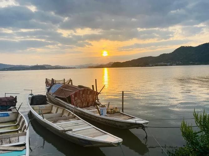 建德漁村 建德漁村 觀賞魚百科 第4張