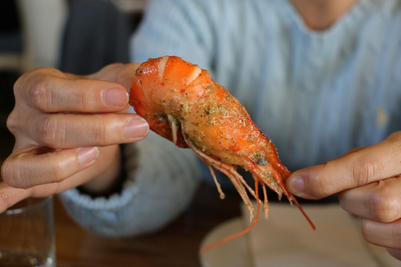 龍魚為什么不吃顆粒料？龍魚不吃顆粒怎么辦？