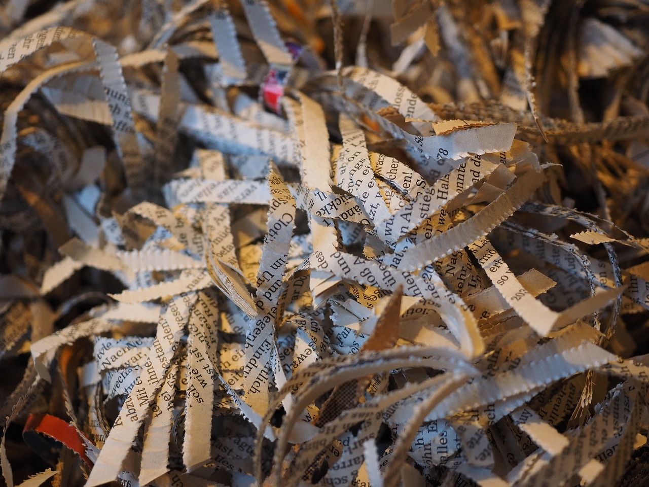 龍魚的價格是多少錢一條，龍魚市場價多少錢一條 龍魚的價格是多少錢一條，龍魚市場價多少錢一條 觀賞魚百科 第2張