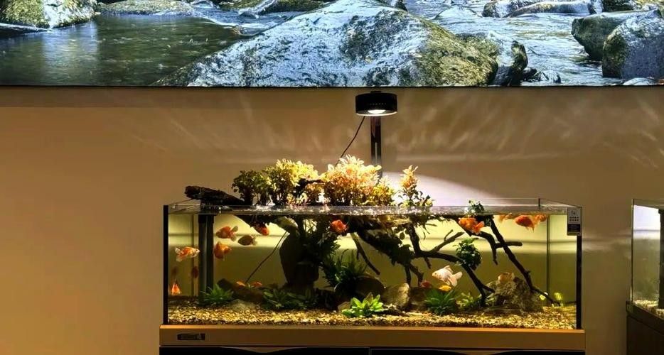 水族品牌品牌介紹