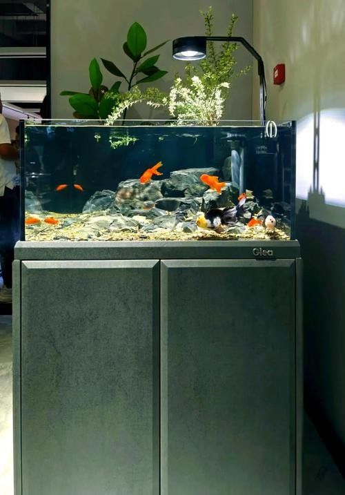 水族品牌品牌介紹