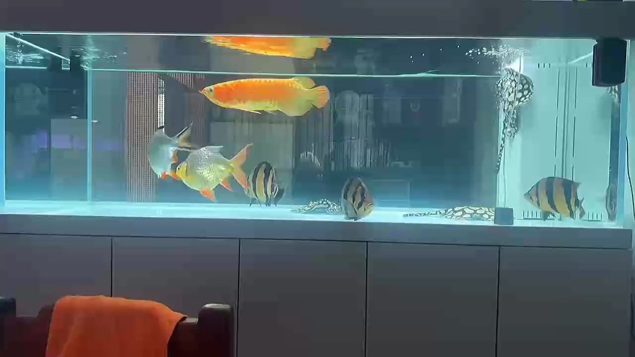 2026擼起袖子加油干
