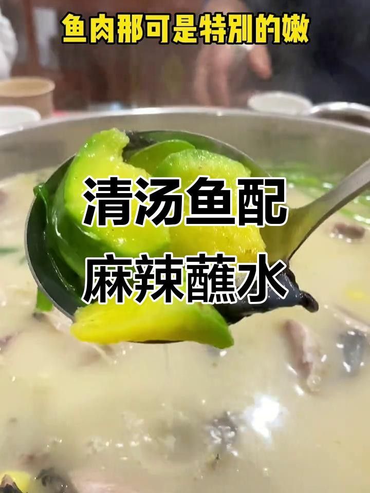 麗江十大名魚 麗江十大名魚 觀賞魚百科 第6張