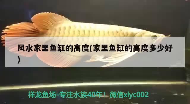 焦作魚缸批發市場：焦作二手魚缸批發市場 焦作魚缸批發市場：焦作二手魚缸批發市場 觀賞魚百科 第1張