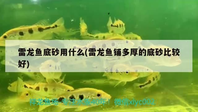 焦作魚缸批發市場：焦作二手魚缸批發市場 焦作魚缸批發市場：焦作二手魚缸批發市場 觀賞魚百科 第4張
