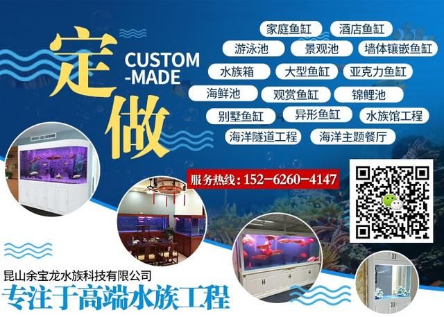 漯河魚缸售后維護電話:德克無管件魚缸如何