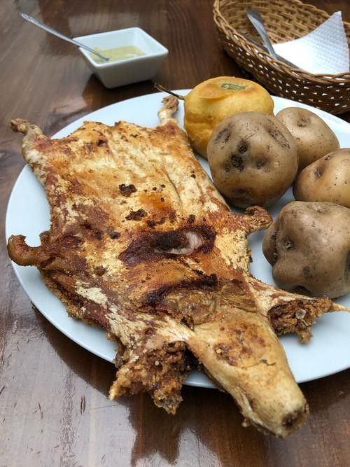 秘魯豬鼠最出名的三個品牌